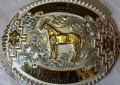 NWSC  Horse Show Belt BUCKLE  MONTANA SILVERSMITHS NUMBERED • $250