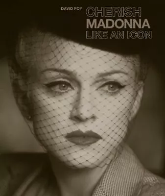 Cherish: Madonna Like An Icon By David Foy Book The Fast Free Shipping • $9.24