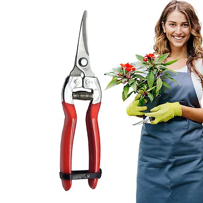 Garden Pruning Shears Potted Branches Scissors Fruit Picking Small Scissors Tool • £10.09