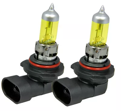 H10 9145 100W Fog Light Xenon Super Yellow Halogen Replacement Light Bulbs  C541 • $5.99