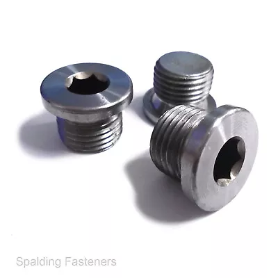 Metric Fine Pitch Thread Allen Socket Pipe Plug Nuts With Shoulder M8 - M42 • £3.14