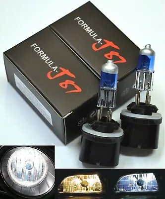 Halogen 899 37.5W 8000K  IcyBlue Two Bulbs Fog Light Replacement Plug Play Lamp • $16