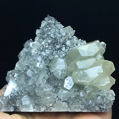 284g  Transparent Bright  Mercedes  Calcite Crystal Cluster Mineral Specimen • $5.50