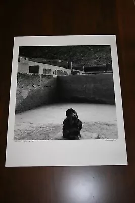 Aaron Siskind - Legendary Photographer - Puruchucco Peru 1981 16  X 20  • $699.99