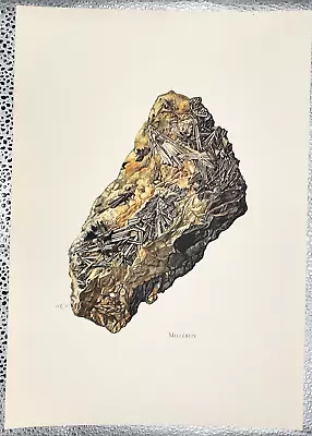 1969 Caspari Vintage Geology Print - Millerite Mineral Limited Edition • $10