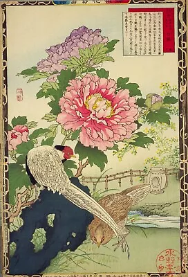 Peony Silver Phesants Vintage Kono Bairei Japanese Poster Botanical Print Art • £4.10