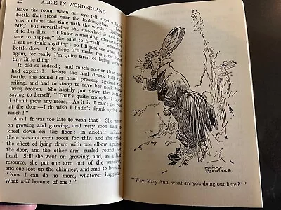 Alice In Wonderland & Through The Looking Glass - Lewis Carroll -Vintage/Antique • £22.95