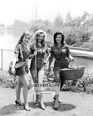 Pat Woodell Linda Kaye Jeannine Riley  Petticoat Junction  - 8x10 Photo (bb-372) • $8.87