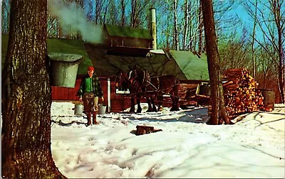 Maple Sugar Harvesting Time Vermont Scenic Winter Landscape Chrome Postcard • $3