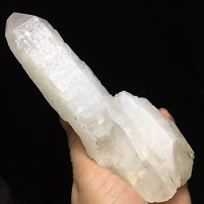 340g Museum Quality Transparent White Quartz Crystal Cluster Mineral Specimen • $36.96