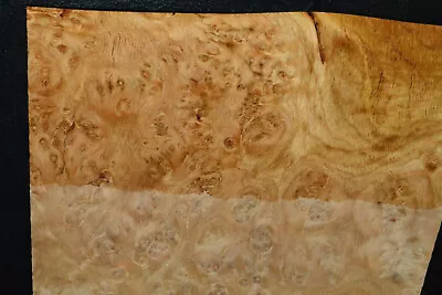 Oak Burl Raw Wood Veneer Sheet 7 X 9 Inches 1/42nd                      E7222-38 • $7.99