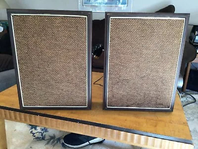 Voice Of Music Model 43 Hanging Speakers • $50