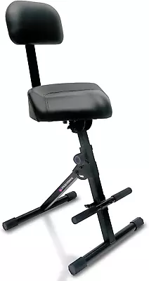 Guitar Stool Adjustable Musician Drum Throne Backrest Guitar Seat Drum Seat   • $143.87