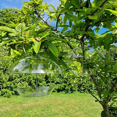 £16.99 • Buy 2 X Hanging See Through Squirrel Proof Garden Bird Feeder With Integral Baffle