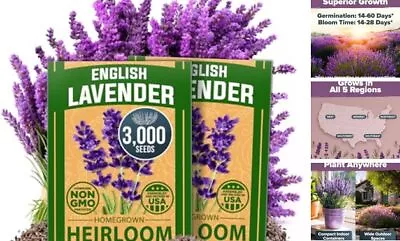 HOME GROWN Premium English Lavender Seeds | 3000 Non-GMO Herb Seeds | USA  • $15.36
