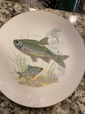 Bohemia Gold Gilded Assorted Fish Plates Set Of 6 And 1 Bigger Plate! • $99.99