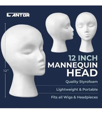 $39.99 • Buy 12PCS 11 STYROFOAM FOAM MANNEQUIN MANIKIN Head Wig Display Hat Glasses