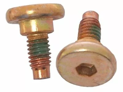 Front Raybestos R-Line Caliper Bolt Kit Fits Ford Mustang II 1974-1977 82GKBV • $18.74