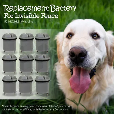 Replacement Battery For Invisible Fence Dog Collar R21/R22/R51/Microlite • $54.72