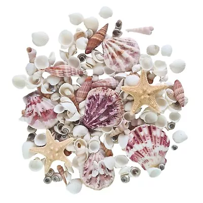 Mixed Small Shells Pink White 100+ Shells + 2  Starfish Crafts Wedding Art Resin • £7.50