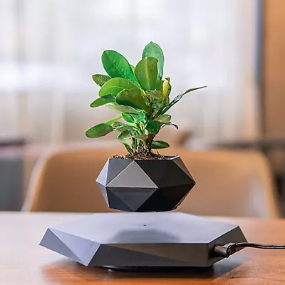 Rotatable Magnetic Levitation Floating Flowerpot For Desktop Living Room Plants • $122.55