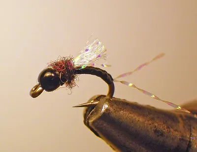 Cheeseman Midge Emerger  Black Fly Fishing Flies Trout Flies Nymph #20 • $12.95