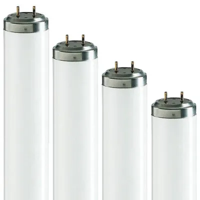 T12 Fluorescent Tubes 2ft 20w 4ft 40w 5ft 65w 6ft 75w 8ft 100w - 835 3500k • £349.99