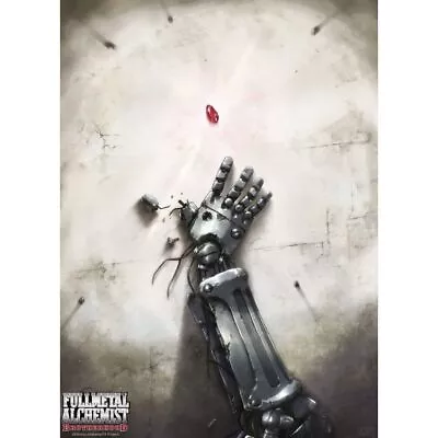 FULLMETAL ALCHEMIST - BROTHERHOOD - POSTER 24x36 - 161434 • $11.95