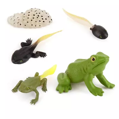 £8.05 • Buy Kids Animals Insects Growth Cycle Toy Set Models Learning Pretend Play Frog