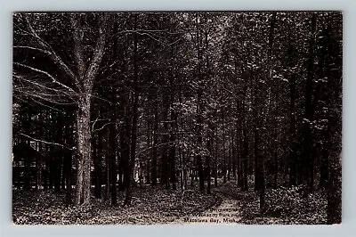 Macatawa Bay MI-Michigan Driveway At Waukazoo Park C1910 Vintage Postcard • $8.99