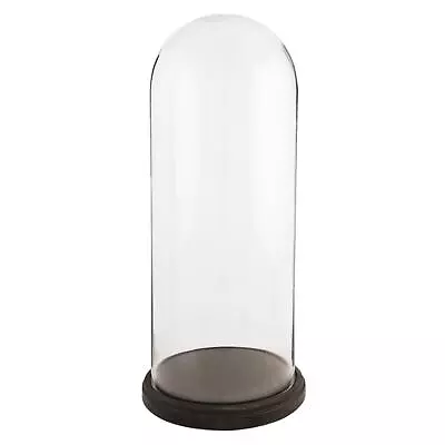 £84.99 • Buy 60cm Glass Display Bell Jar Oval Cloche On Dark Wood Base Display Stand