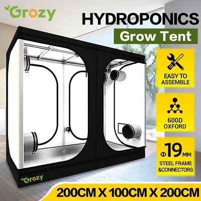 $259 • Buy GROZY 200x100x200CM GROW TENT HYDROPONICS FOR GROWING SYSTEM LED LIGHTING KITS