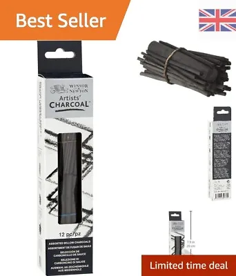Artist Willow Charcoal Sticks - Assorted - 12 Count Pack For Drawing & Sketching • £8.99