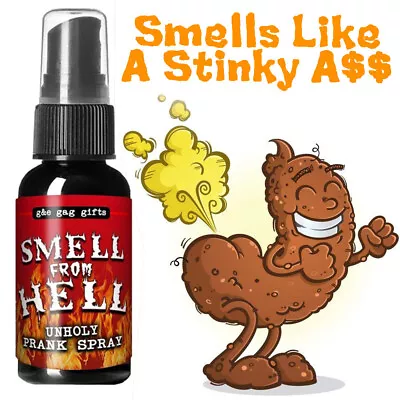 Novelties Liquid Fart Gag Prank Joke Spray Can Stink Newborn Pacifier Months • $20.52
