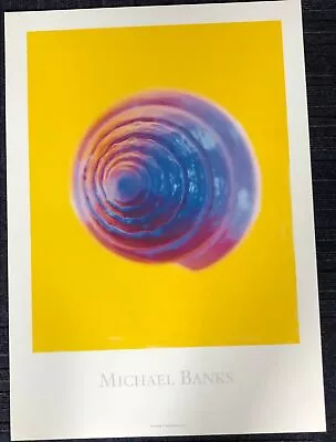 Spiral Shell By Michael Banks (42.5cm X 59.5cm) • $101.02