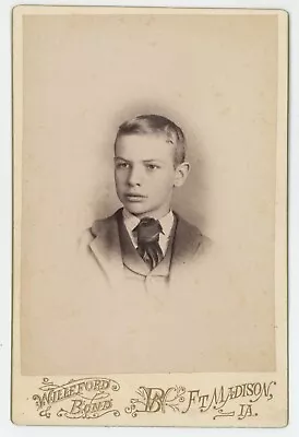 Antique C1880s ID'd Cabinet Card Young Boy Named Harry Winter Ft. Madison IA • $9.99