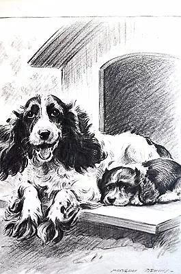 Morgan Dennis 1946 COCKER SPANIEL W PUPPY In DOG HOUSE Vintage Matted Dog Print • $25