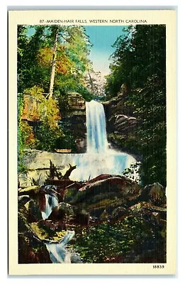 Postcard Maiden-Hair Falls Western NC Linen X24 • $1.99