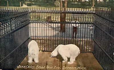 $5.99 • Buy Postcard Bear Caves Belle Isle Zoo Detroit Michigan MI Unposted