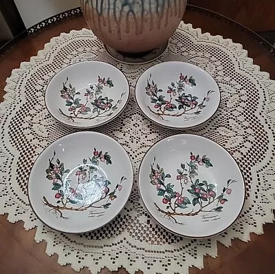 Villeroy & Boch BOTANICA All Purpose Bowls 5.5  Dessert Berry SET Of 4 Vaccinium • $72