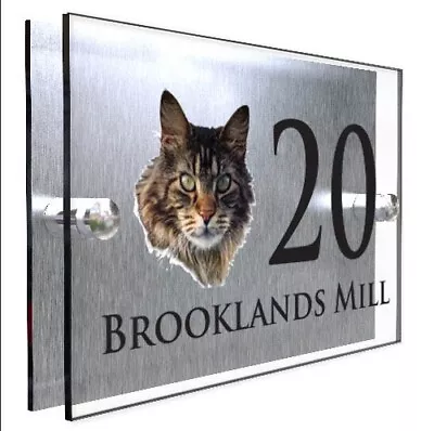 Personalised Acrylic Door Sign Modern House Number Maine Coon Pet Gift Plaque • £9.99