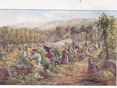 C Essenhigh Corke Hop Picking Hop Pickers At Work Postcard Unused VGC • £2.10