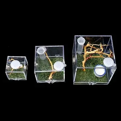 $7.59 • Buy Jumping Spider Habitat Breeding Box Cages For Spider Insect New Small GX E9J5