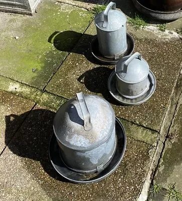 Galvanised Poultry Drinkers X3 • £20