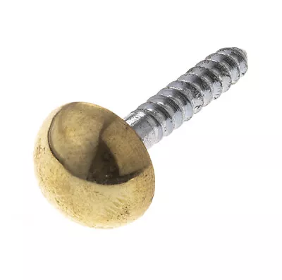 £2.60 • Buy Zinc Plated 2  X 8 Countersunk Mirror Screws With Electro Brassed Caps PKT 4