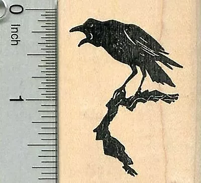Raven Rubber Stamp Bird On A Branch Halloween Series G34711 WM • $16