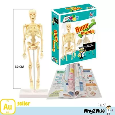 Human Bone Assembly Kit Skeleton STEM Project Experiment Science Kit For Kids  • $19.90