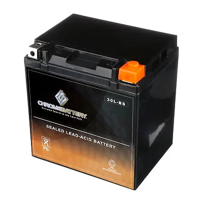 YTX30L-BS Power Sports Battery Replaces ETX30L CYIX30L-BS YGIX30 M7230L GYZ32HL • $79.90