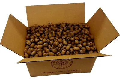 30 Lbs Texas *Macaw Parrot Food* In Shell & Cracked Pecans Bulk | Millican Pecan • $127.30