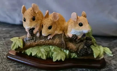 £31.95 • Buy Border Fine Arts Studio - Mammals - Family Outing - Mouse A27056. Free UK Post.